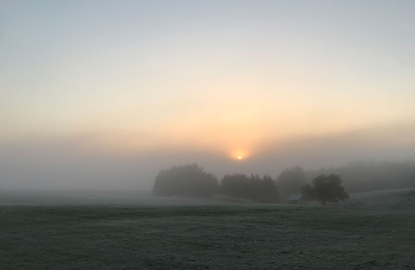 Morgendämmerung...
