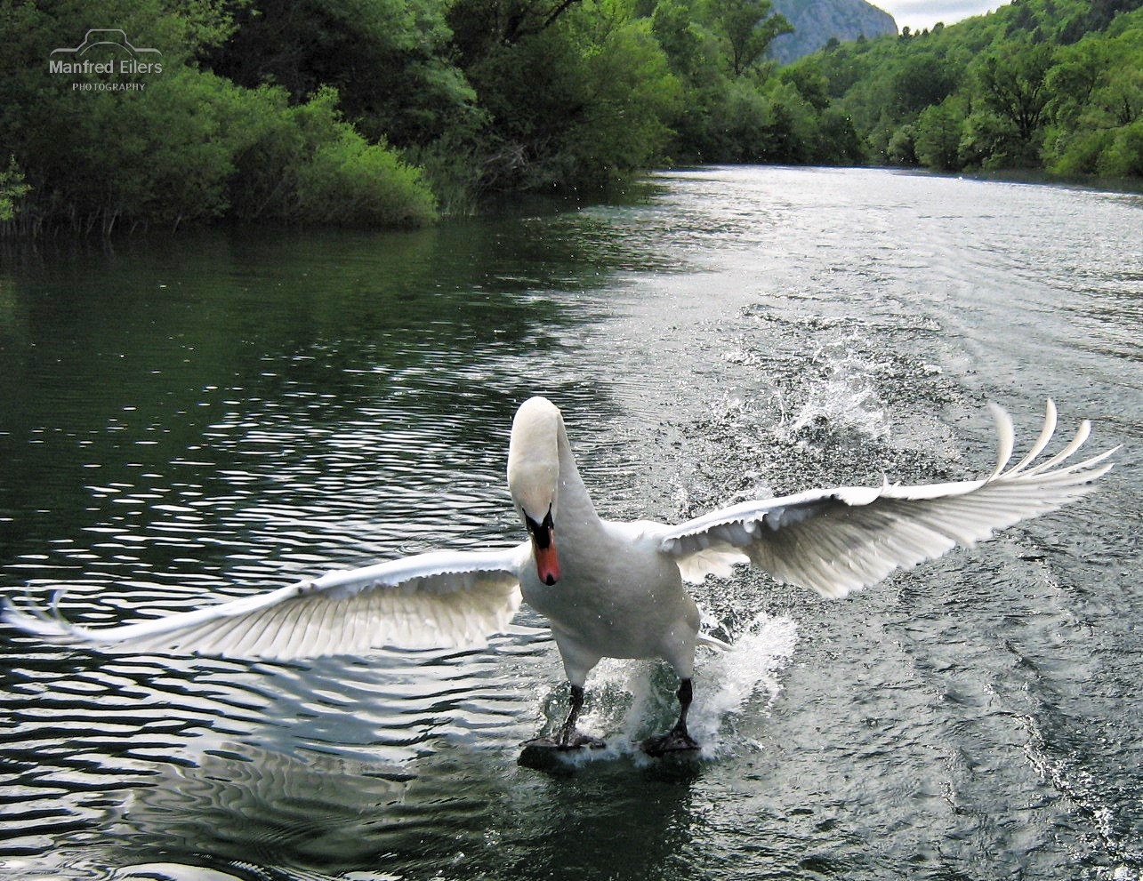 Fotowettbewerb-07-24