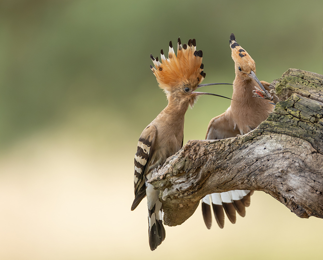 Fotowettbewerb-07-24