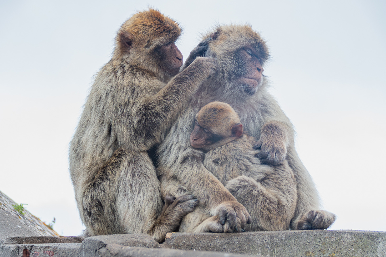 Fotowettbewerb-07-24