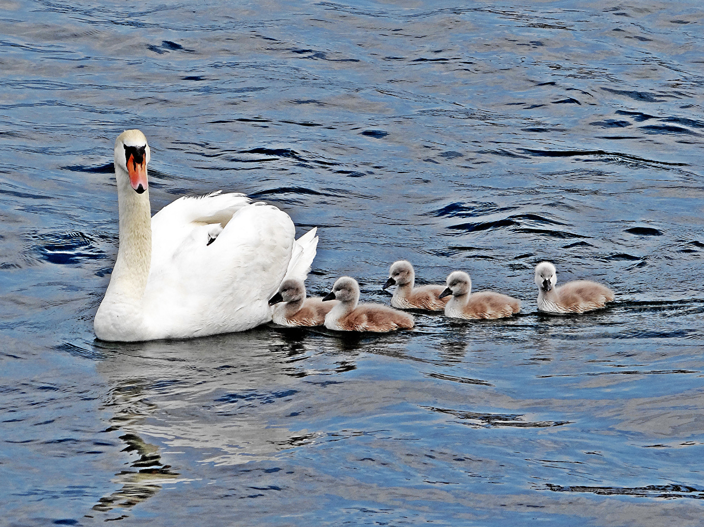 Fotowettbewerb-07-24