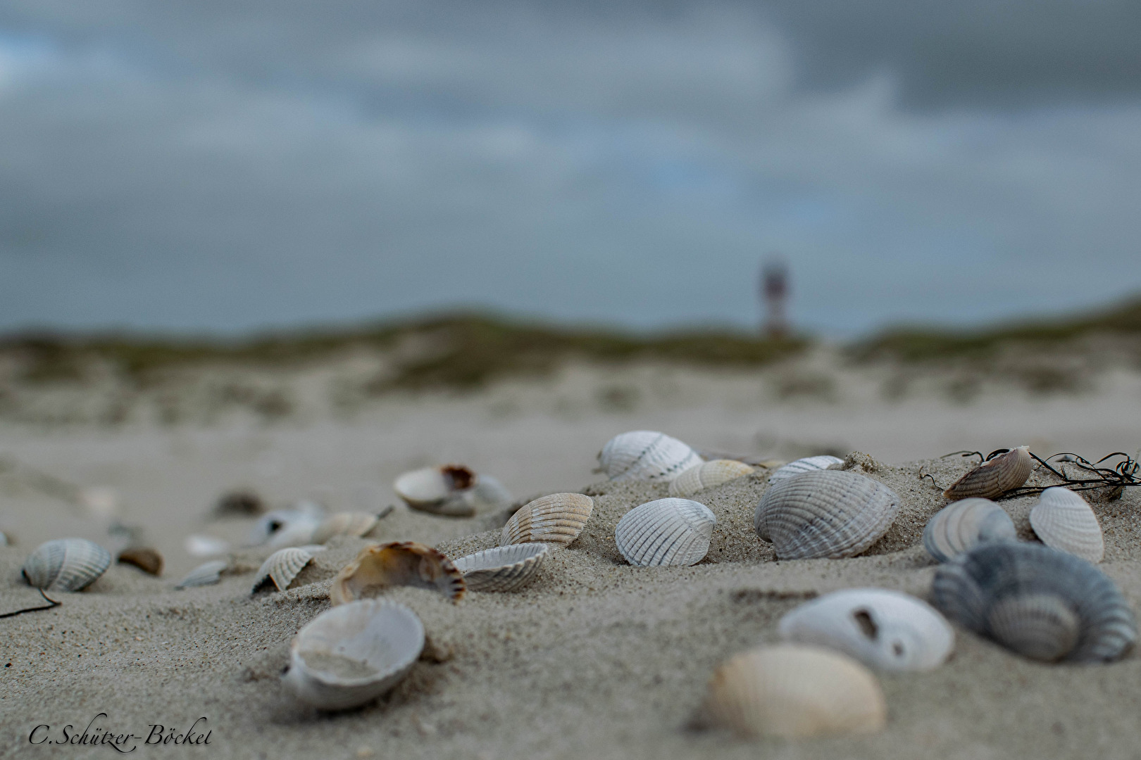 Fotowettbewerb-10-24