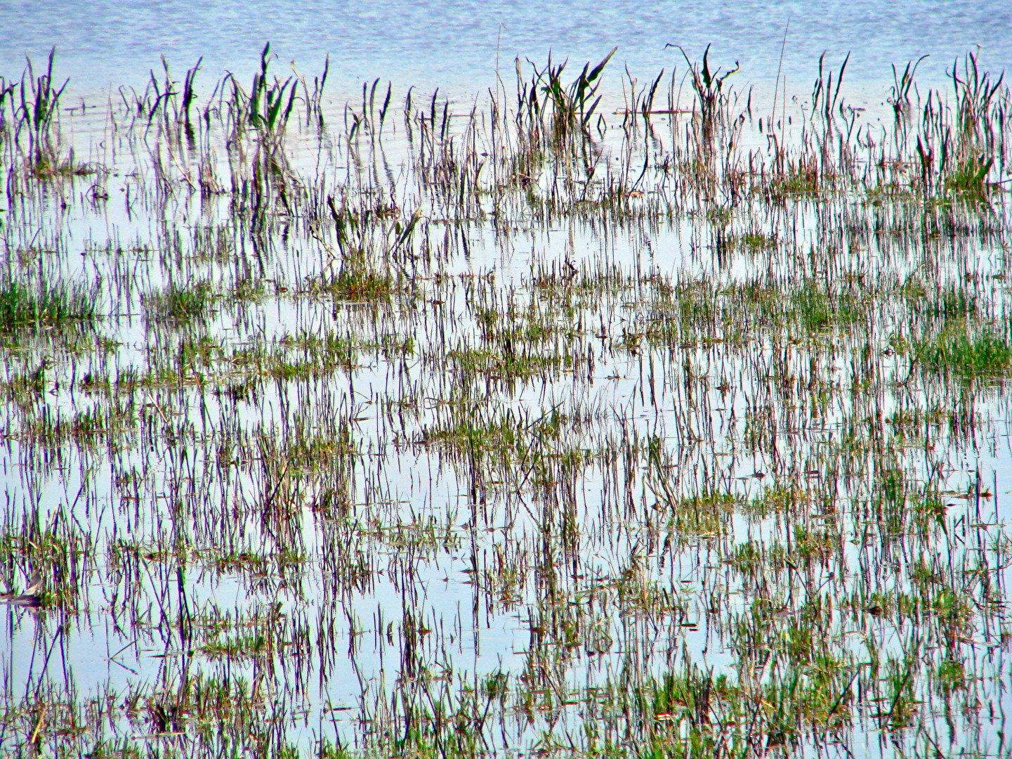 Fotowettbewerb-10-24