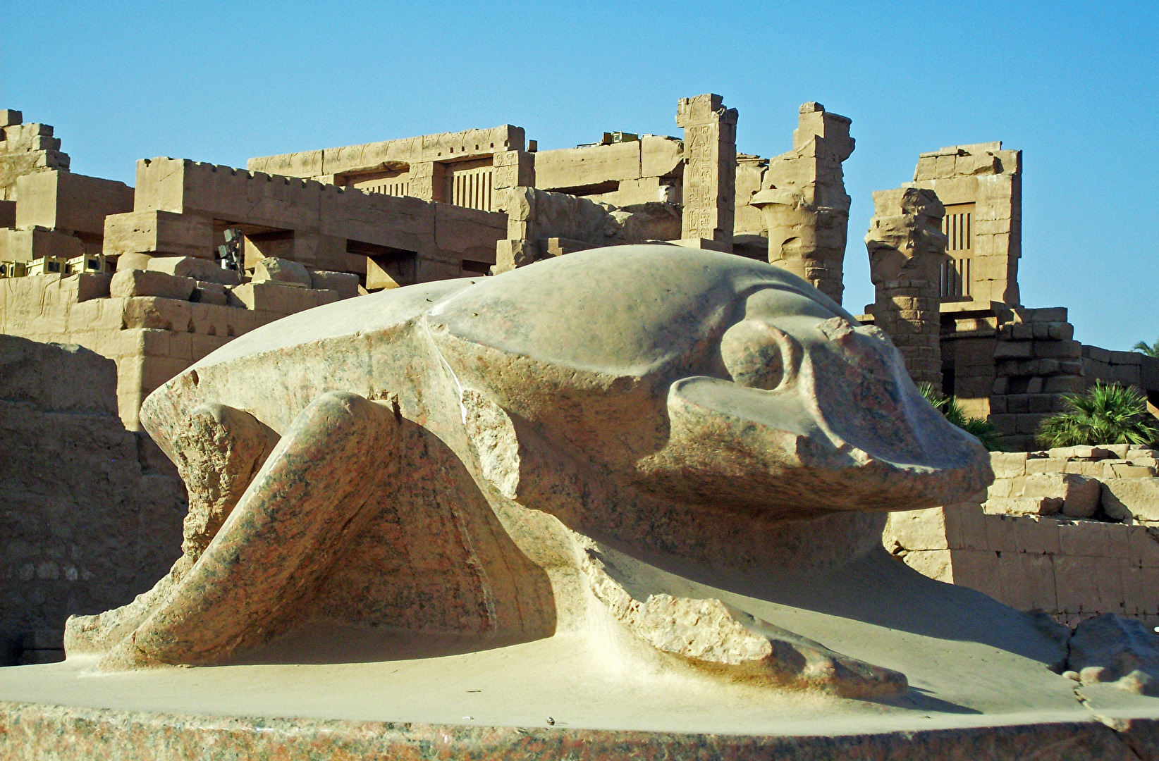 Skarabäus-Käfer als Glücksbringer, Karnak Tempel, Luxor, Ägypten