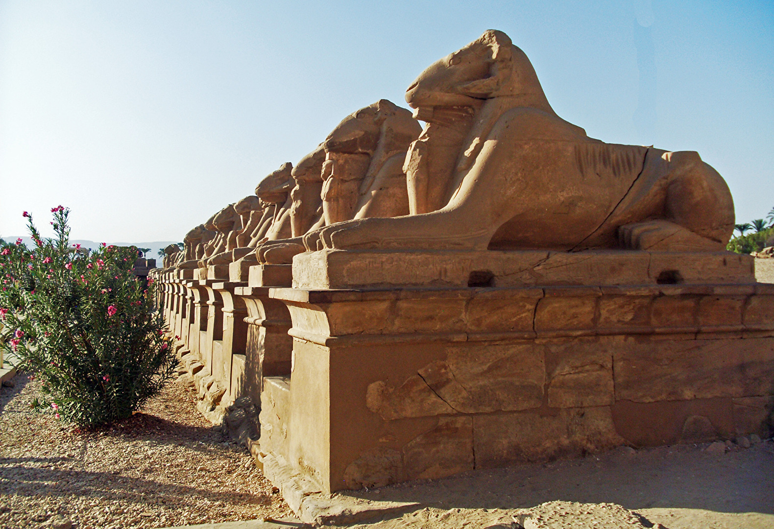 Allee von Sphinxen im Bezirk von Amun-Re (Karnak-Tempel-Komplex, Luxor, Ägypten)