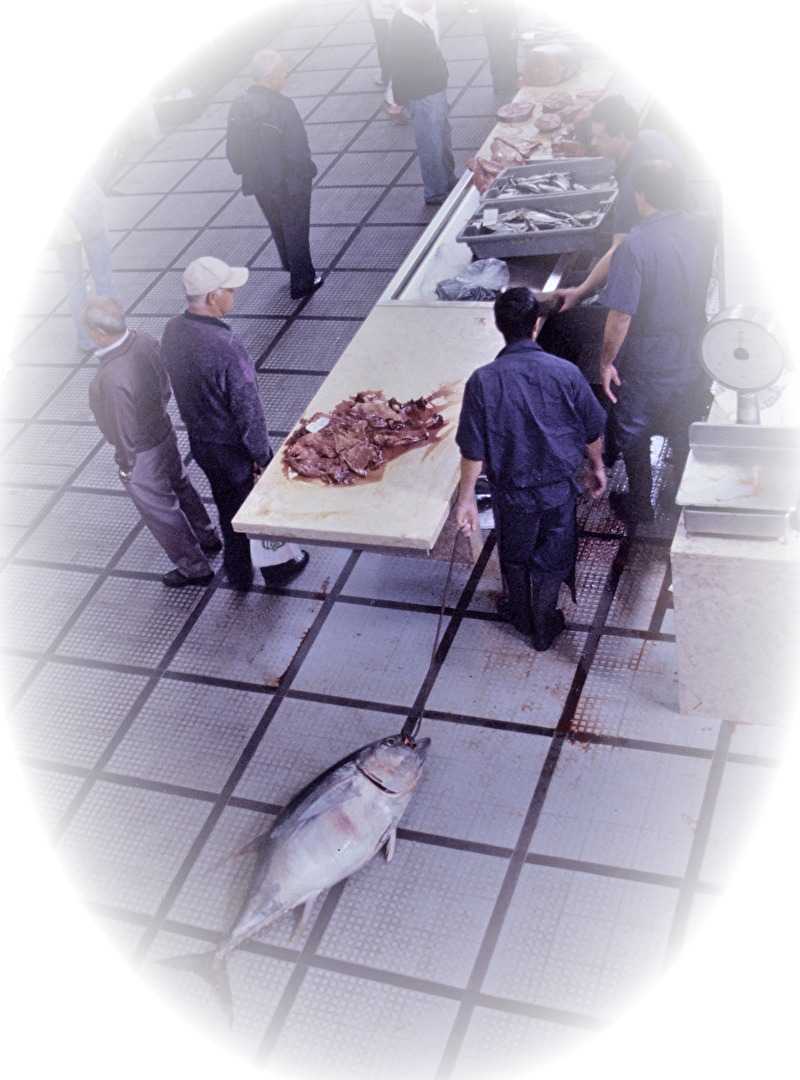 Fischmarkt in Funchal