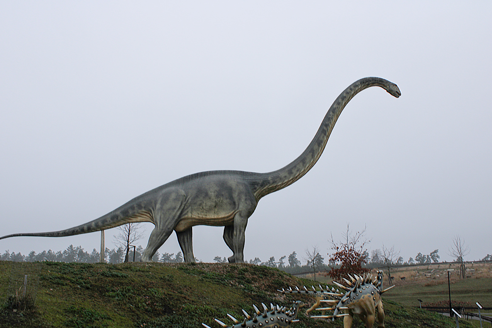 Dino