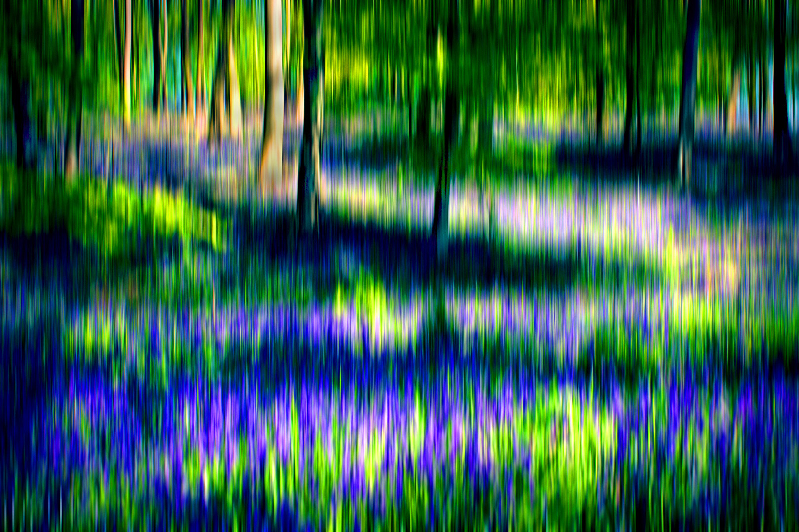 songs from the wood