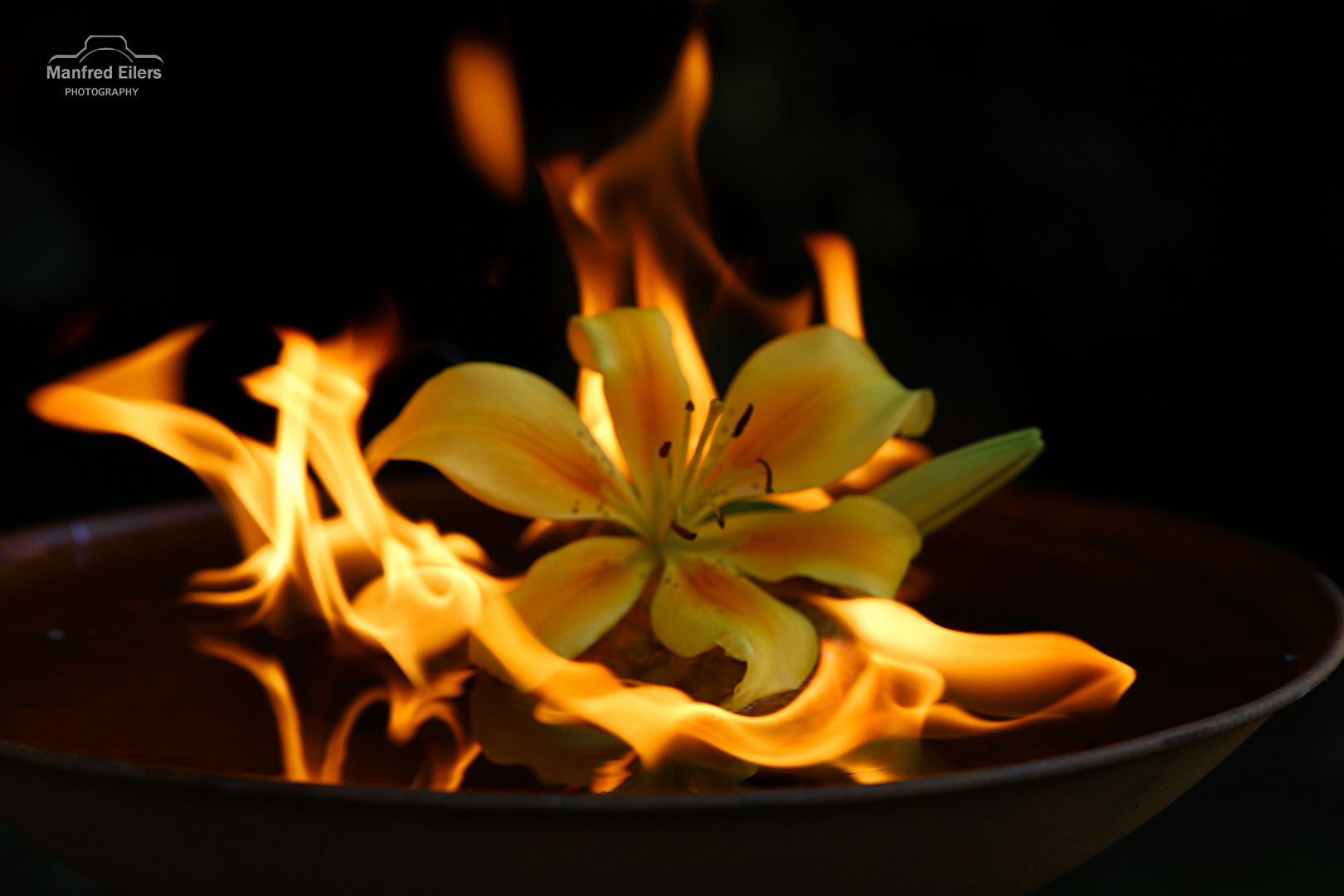 Das Spiel mit dem Feuer