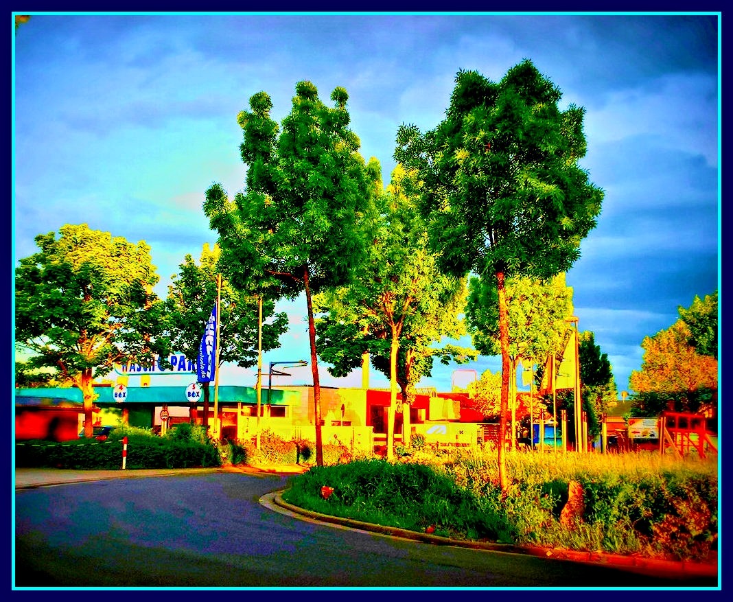 Bäumchen im leichten Wind