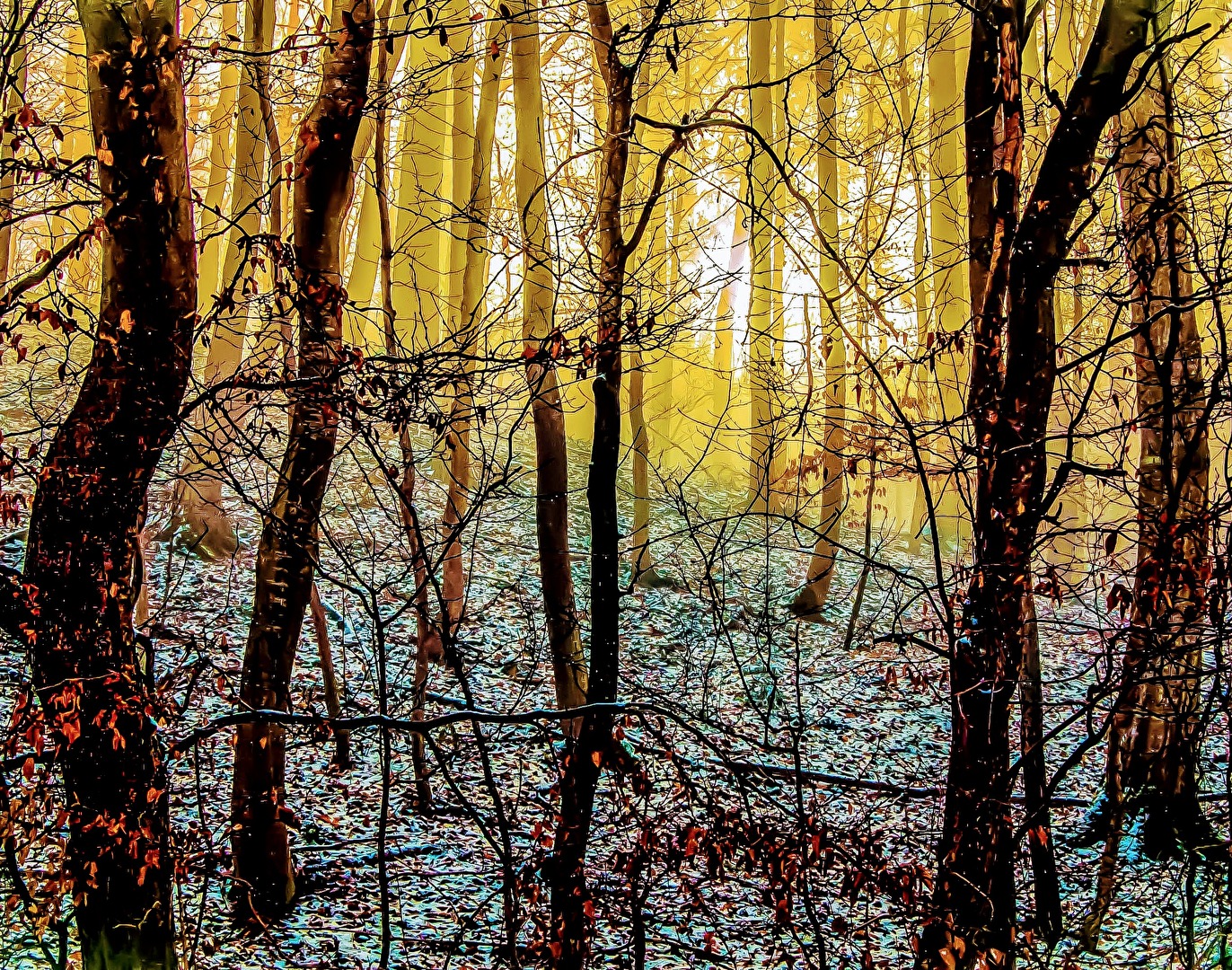 #Wald