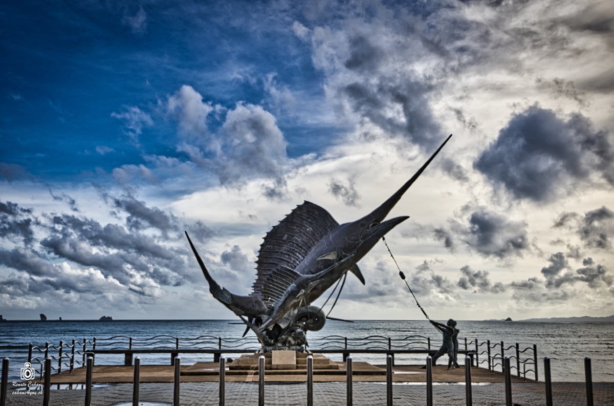 Fisch am Meer