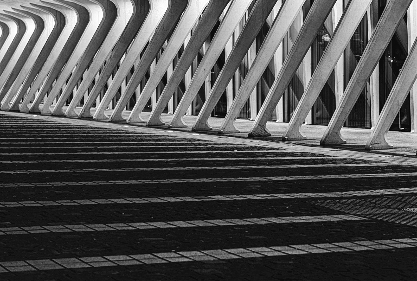 Liege Station Guillemins