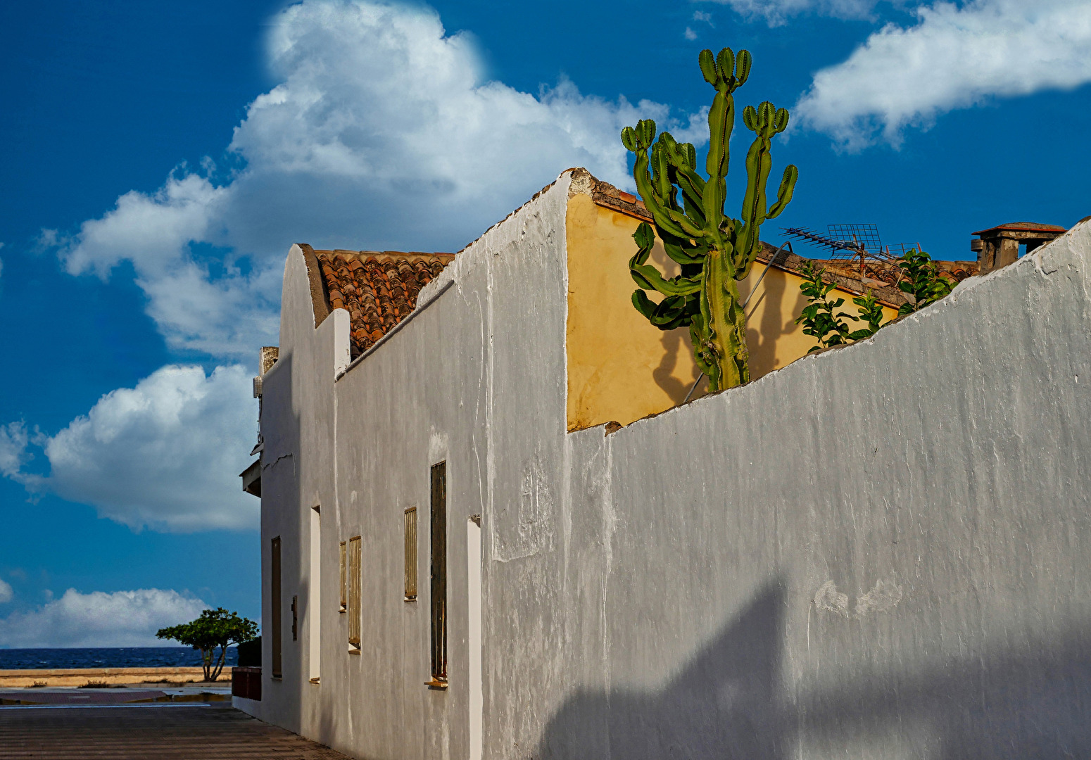 Haus und Garten am Meer