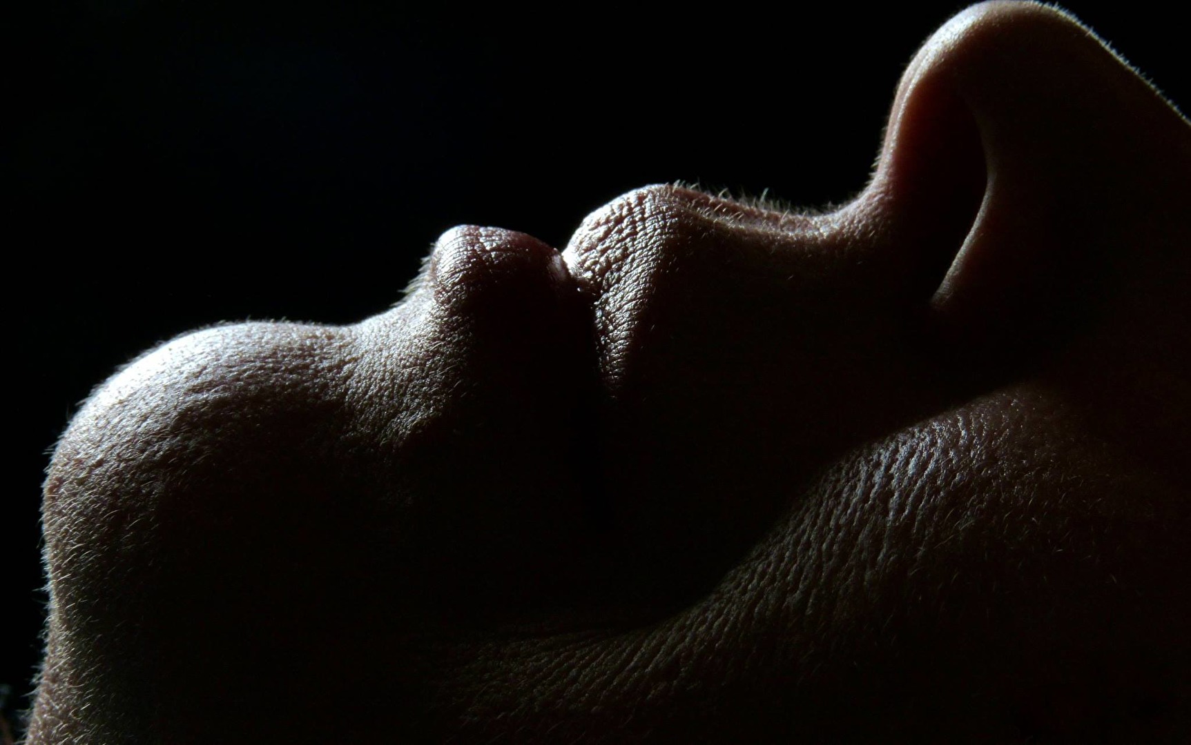 Gesichtsteile (allgemein)