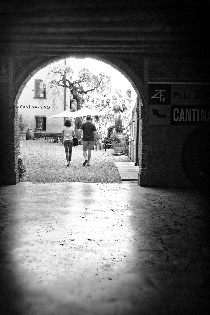 In Vino Veritas