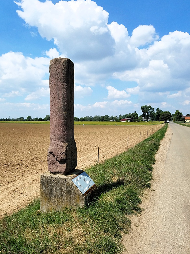 Die spinnen, die Römer !  Wirklich  ?