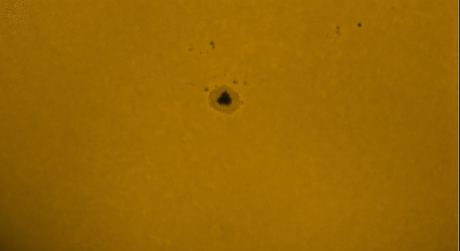 Sonne H-alpha mit riesigem Sonnenfleck