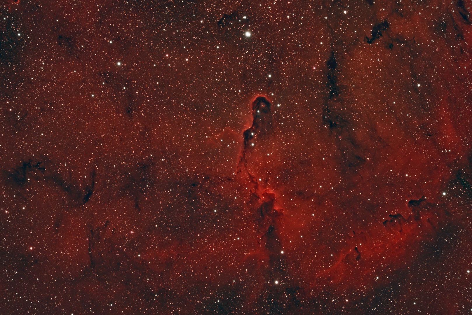 IC1396A Elefantenrüsselnebel