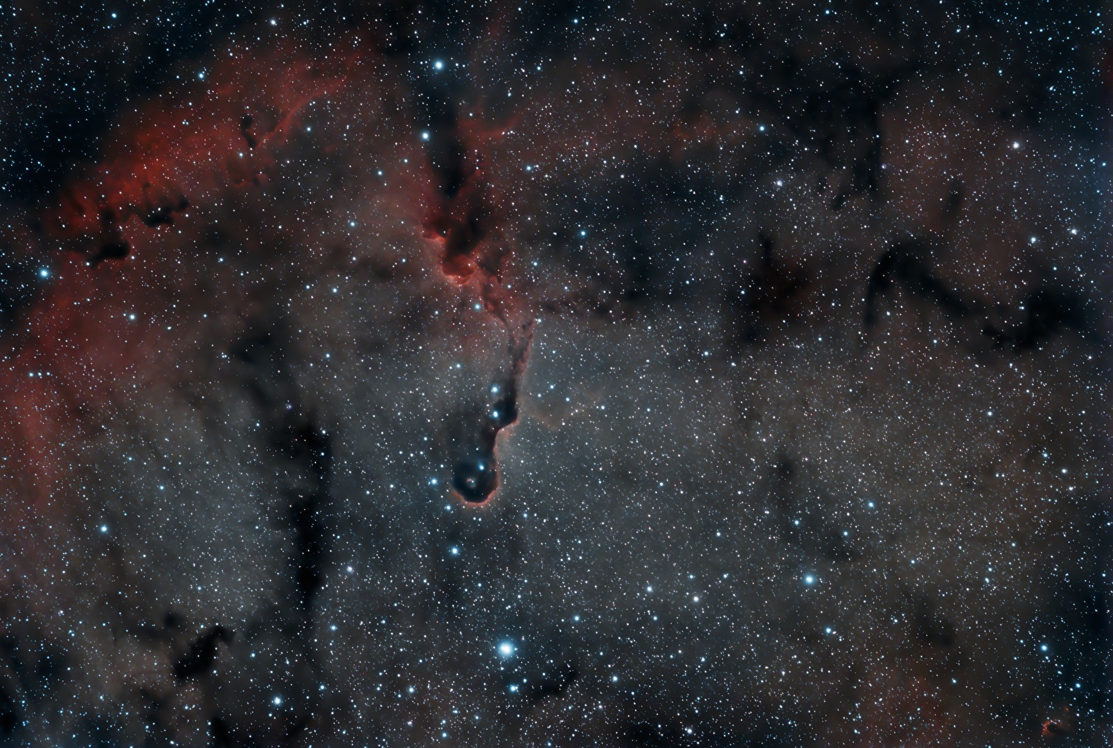 IC1396A Elefantenrüsselnebel