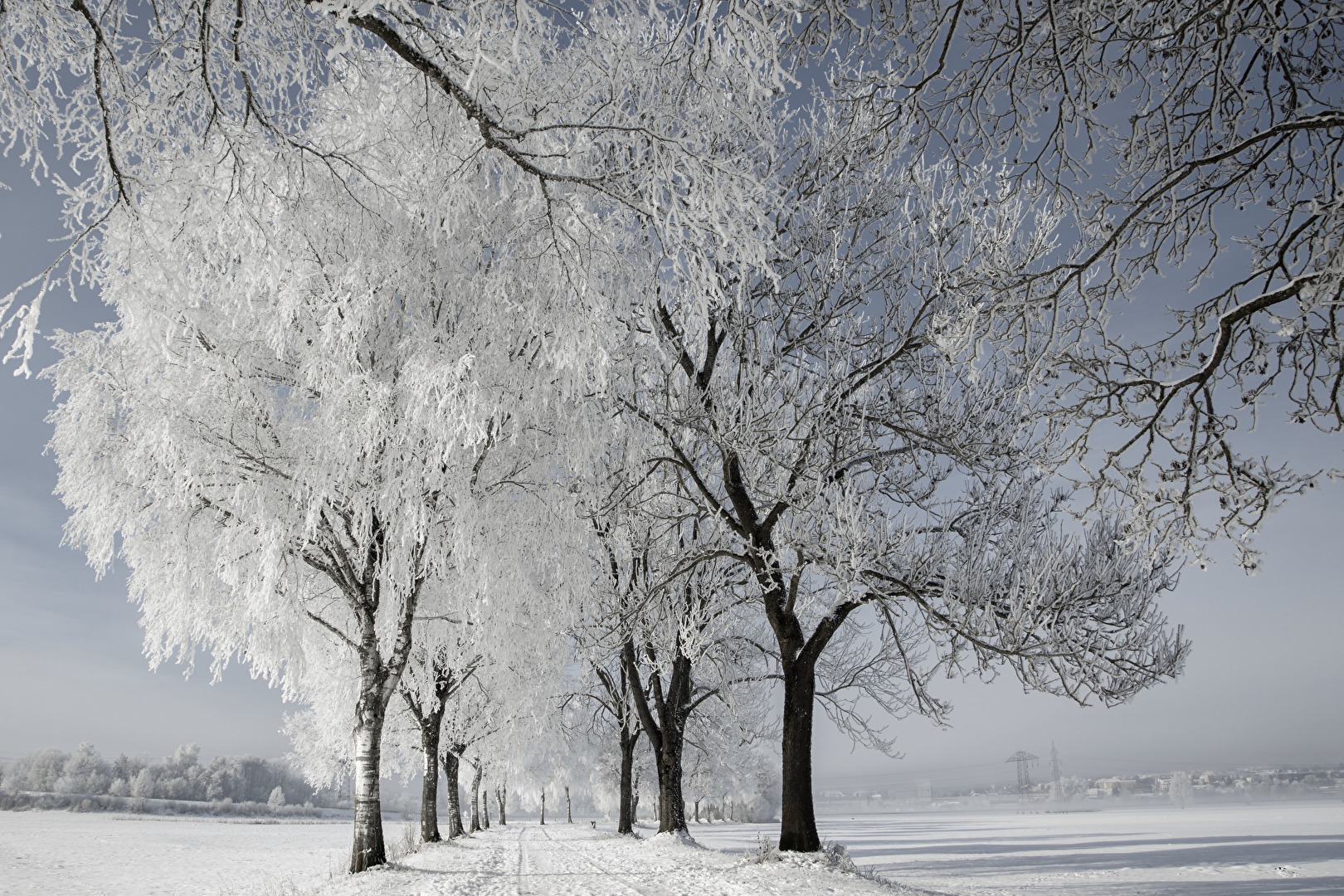Jahreszeiten (allgemein)