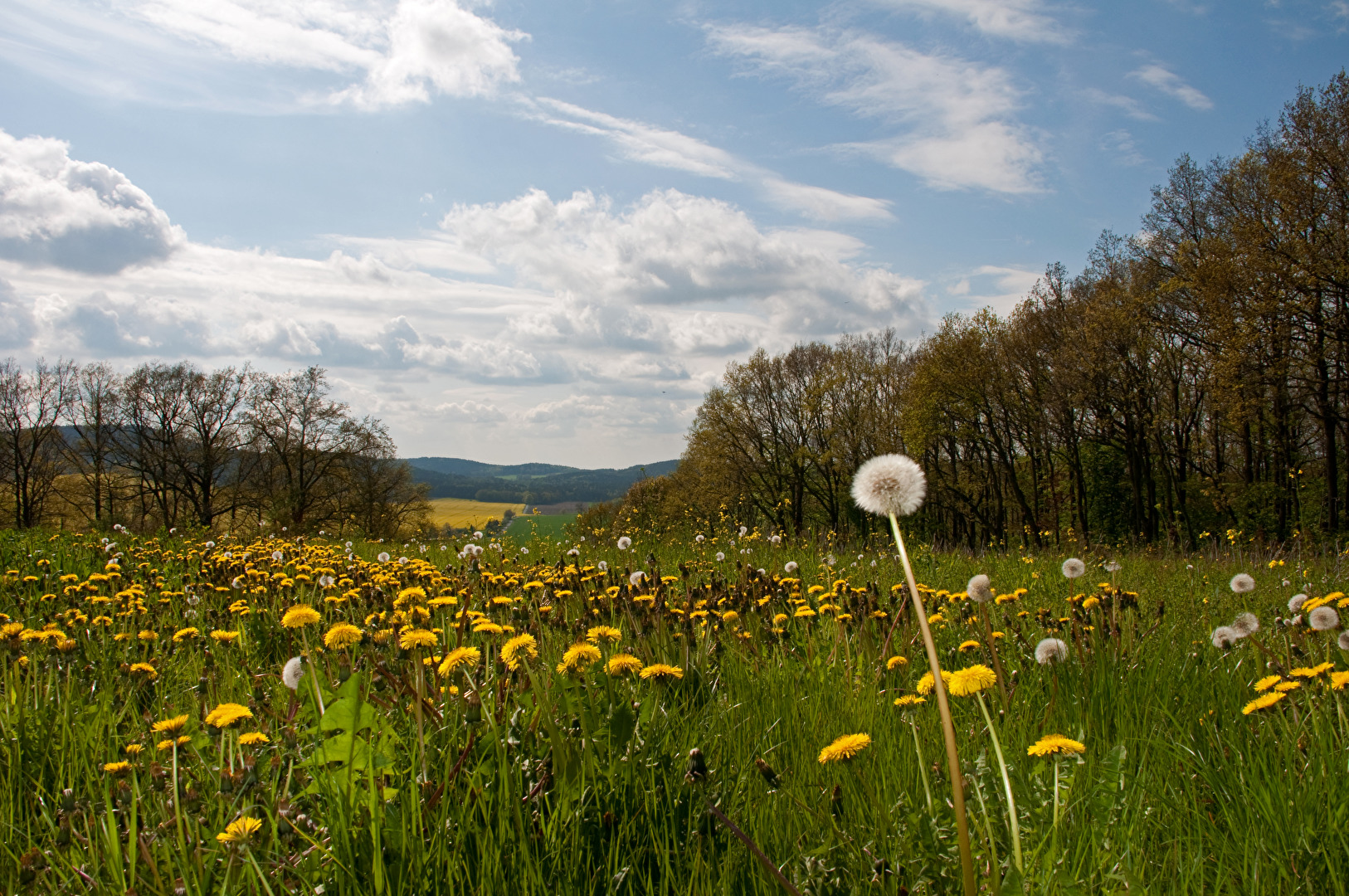 Jahreszeiten (allgemein)