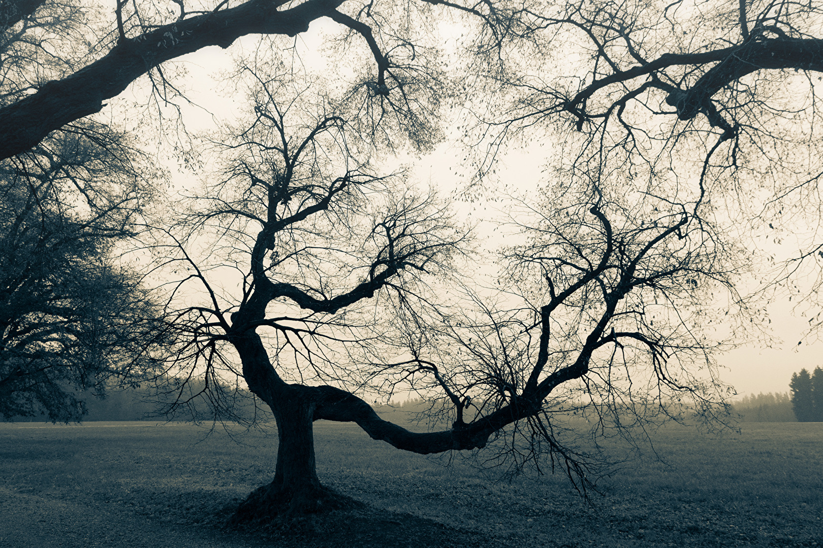 Herbstland