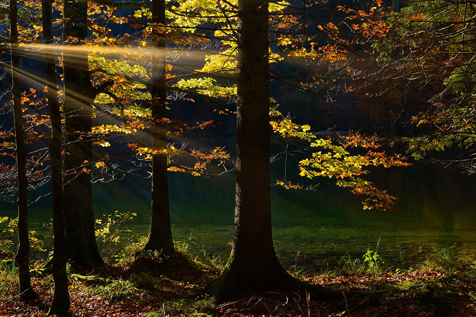 Seitenlicht