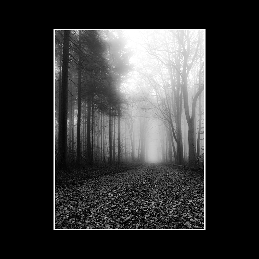 Spazierweg im Herbst