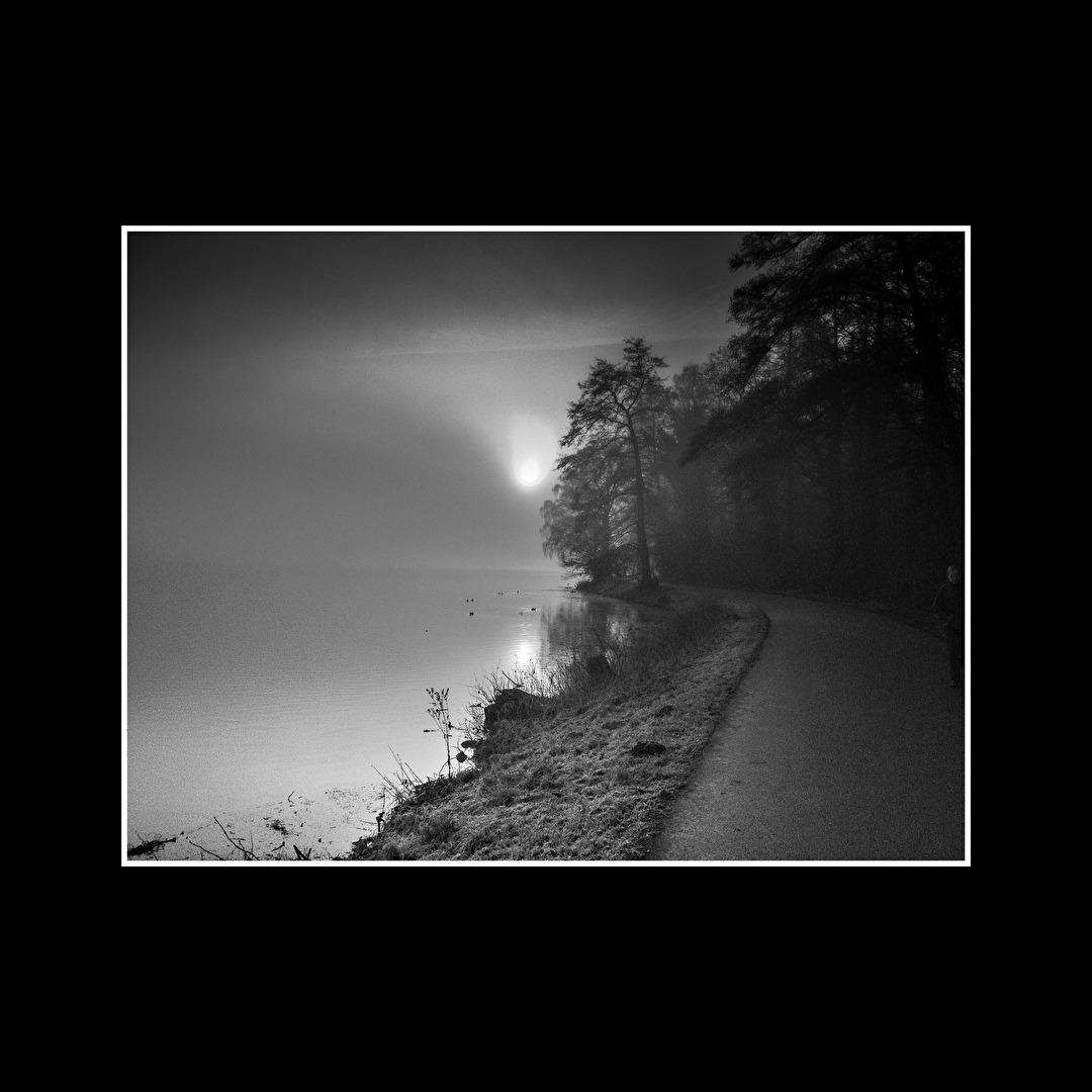 Ein Wintermorgen mit Nebel am See