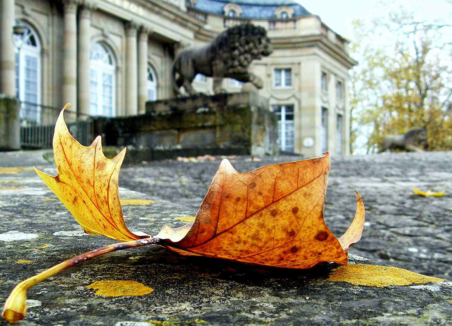 Das Blatt auf dem Schloßplatz