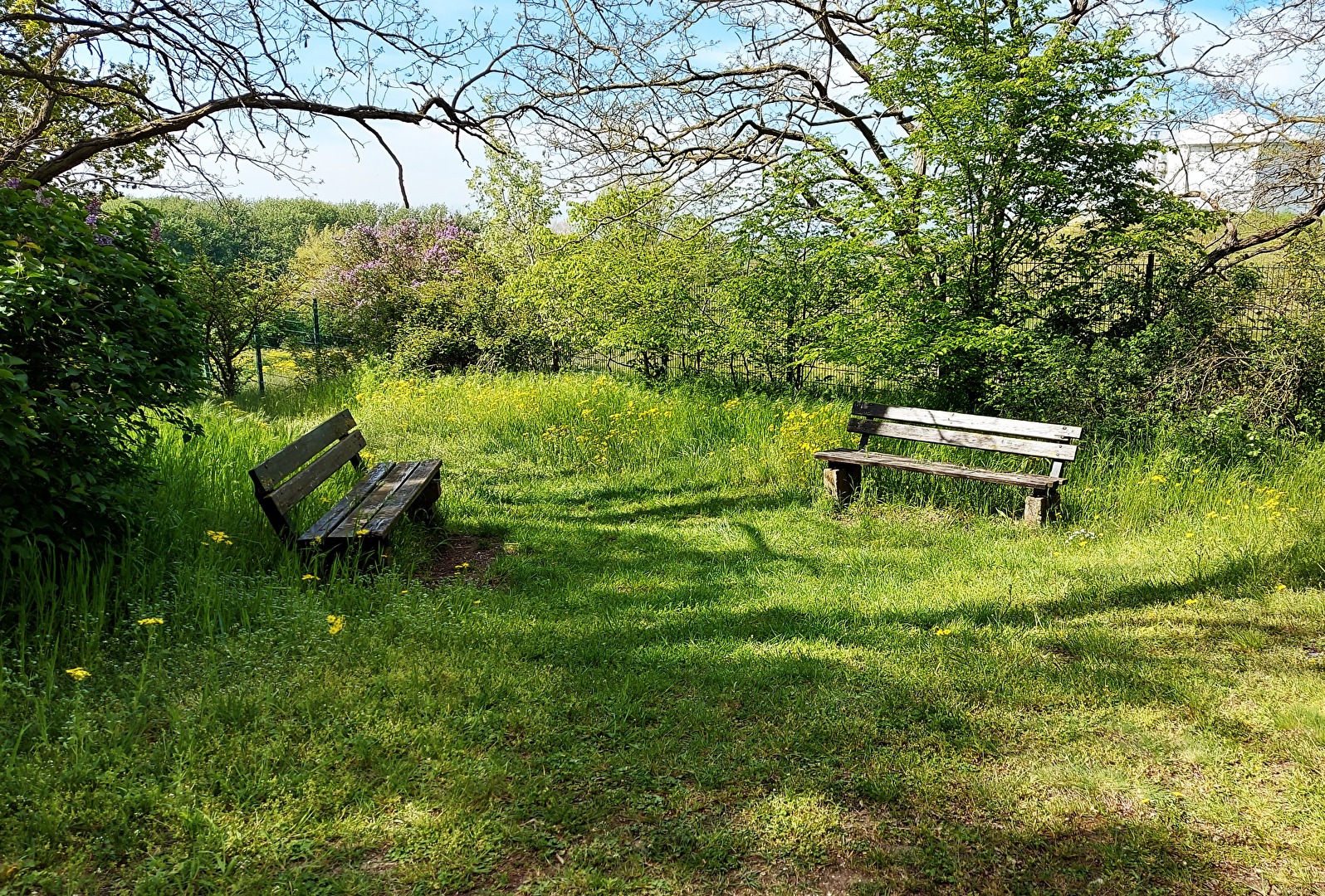 den Frühling genießen