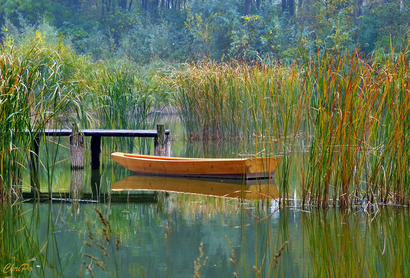 Jahreszeiten (allgemein)