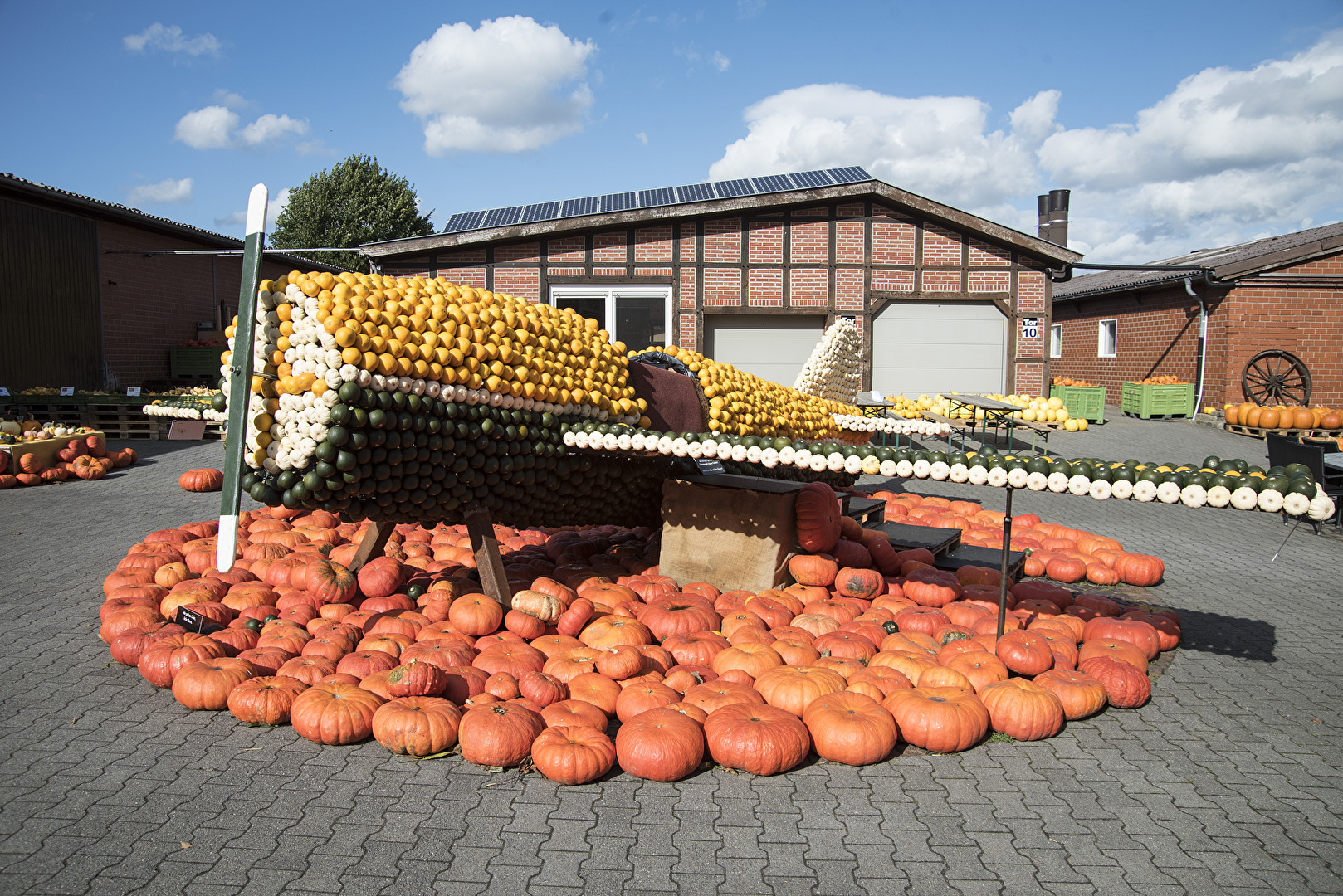 Herbstfrüchte Flying pumpkins Fliegende Kürbisse