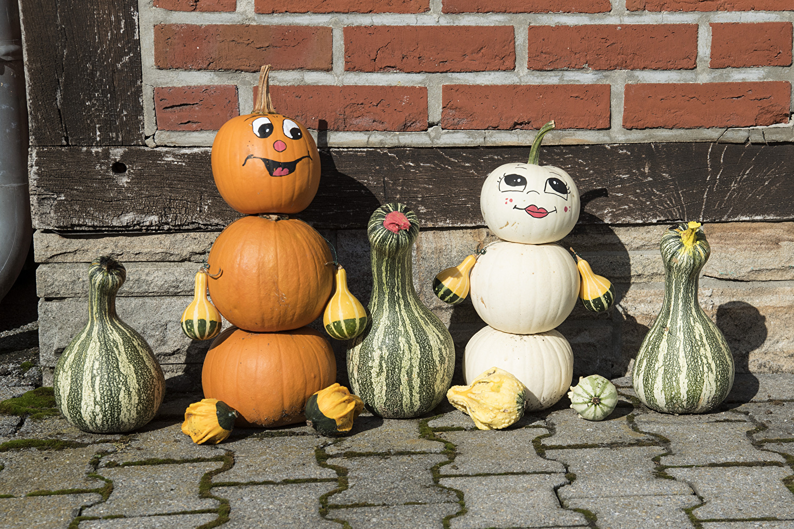 Herbstfrüchte  Kürbisfamilie