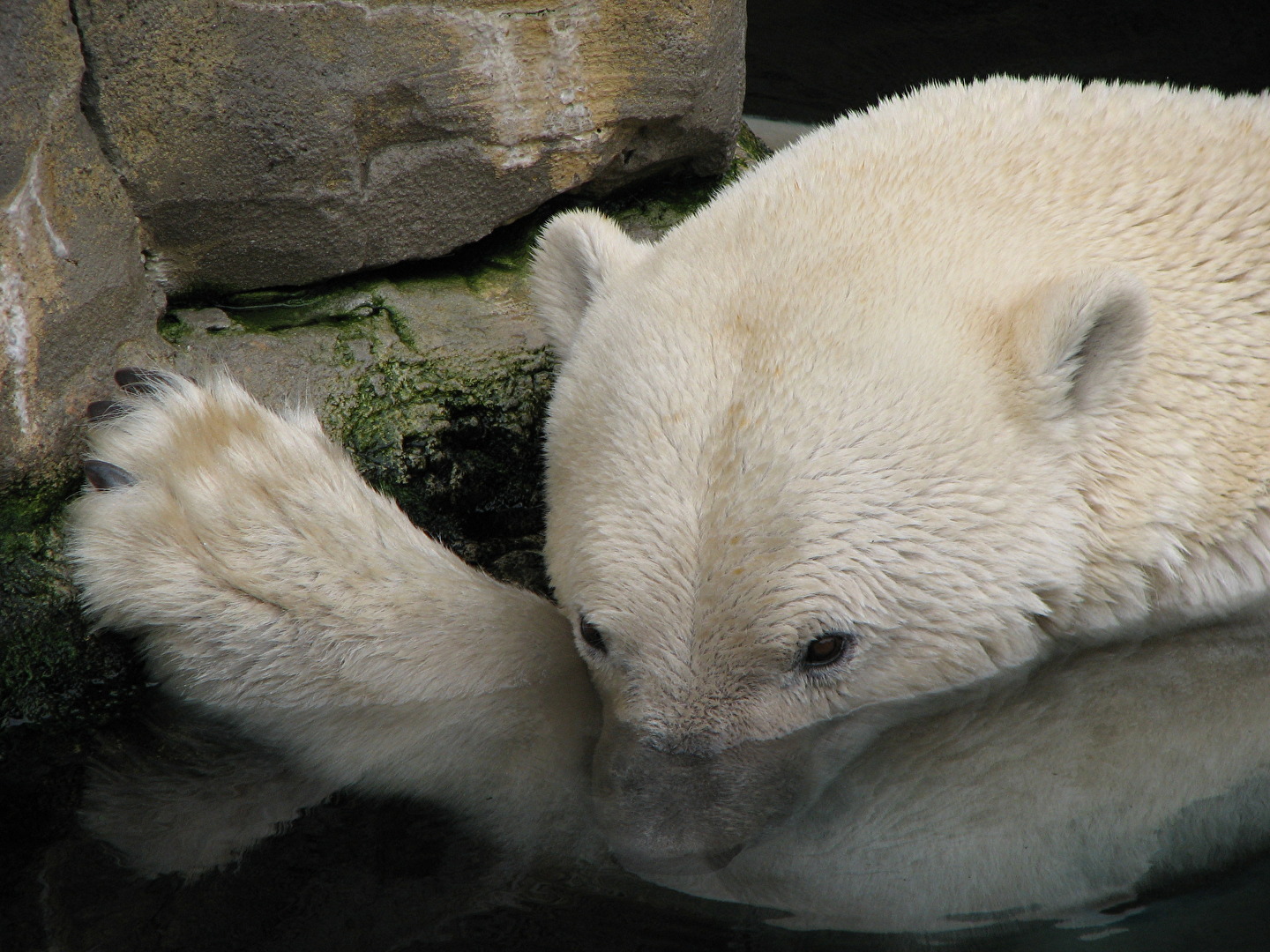 Bremerhaven, Zoo am Meer