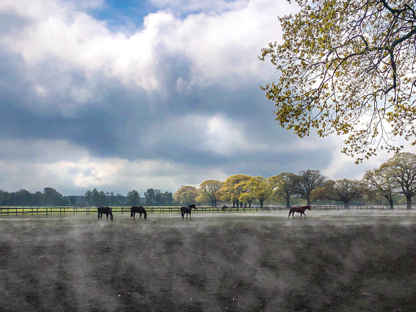 ...nach dem Regen