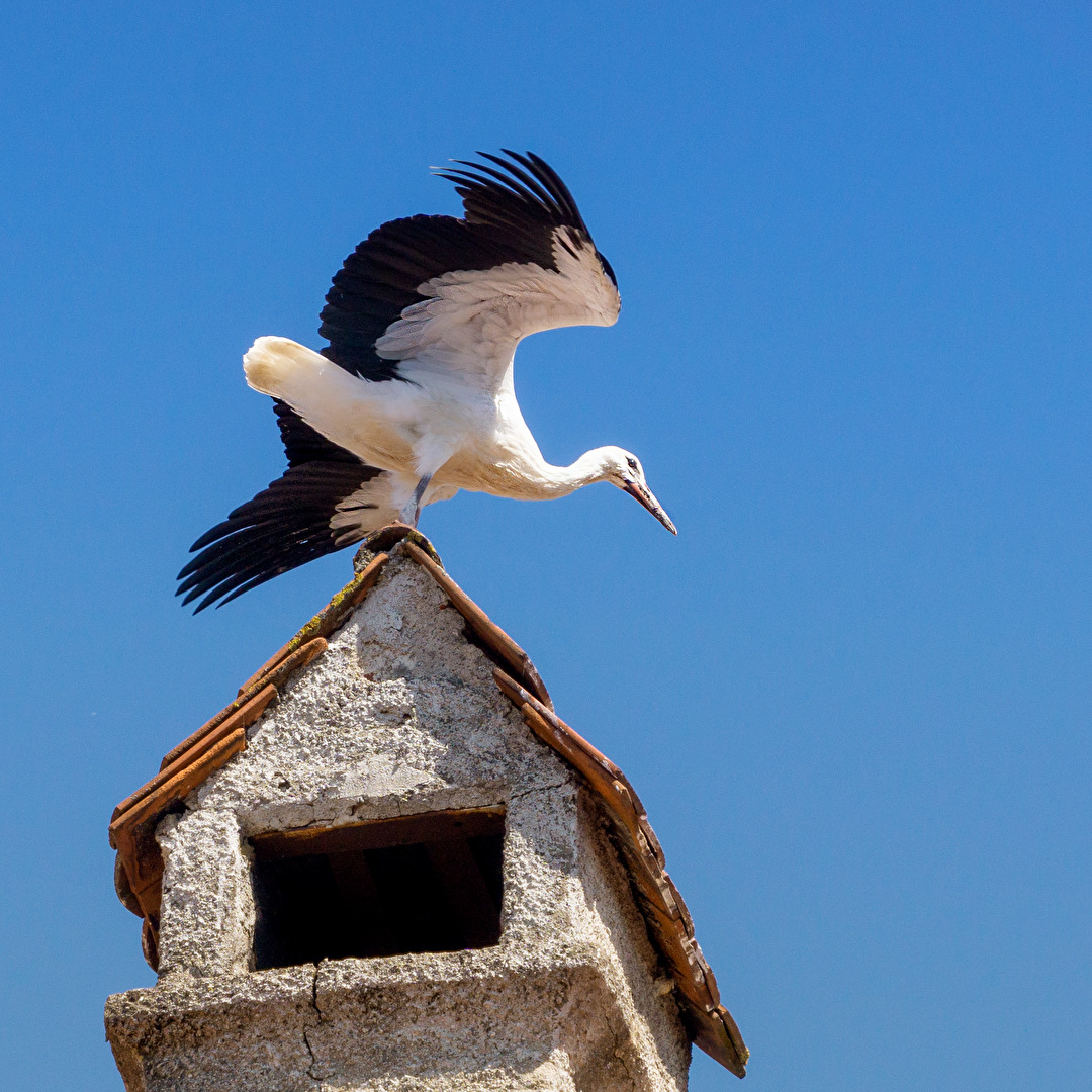 Abflug