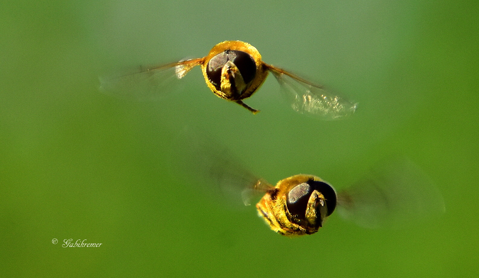 Flieger mit Pilotenbrille