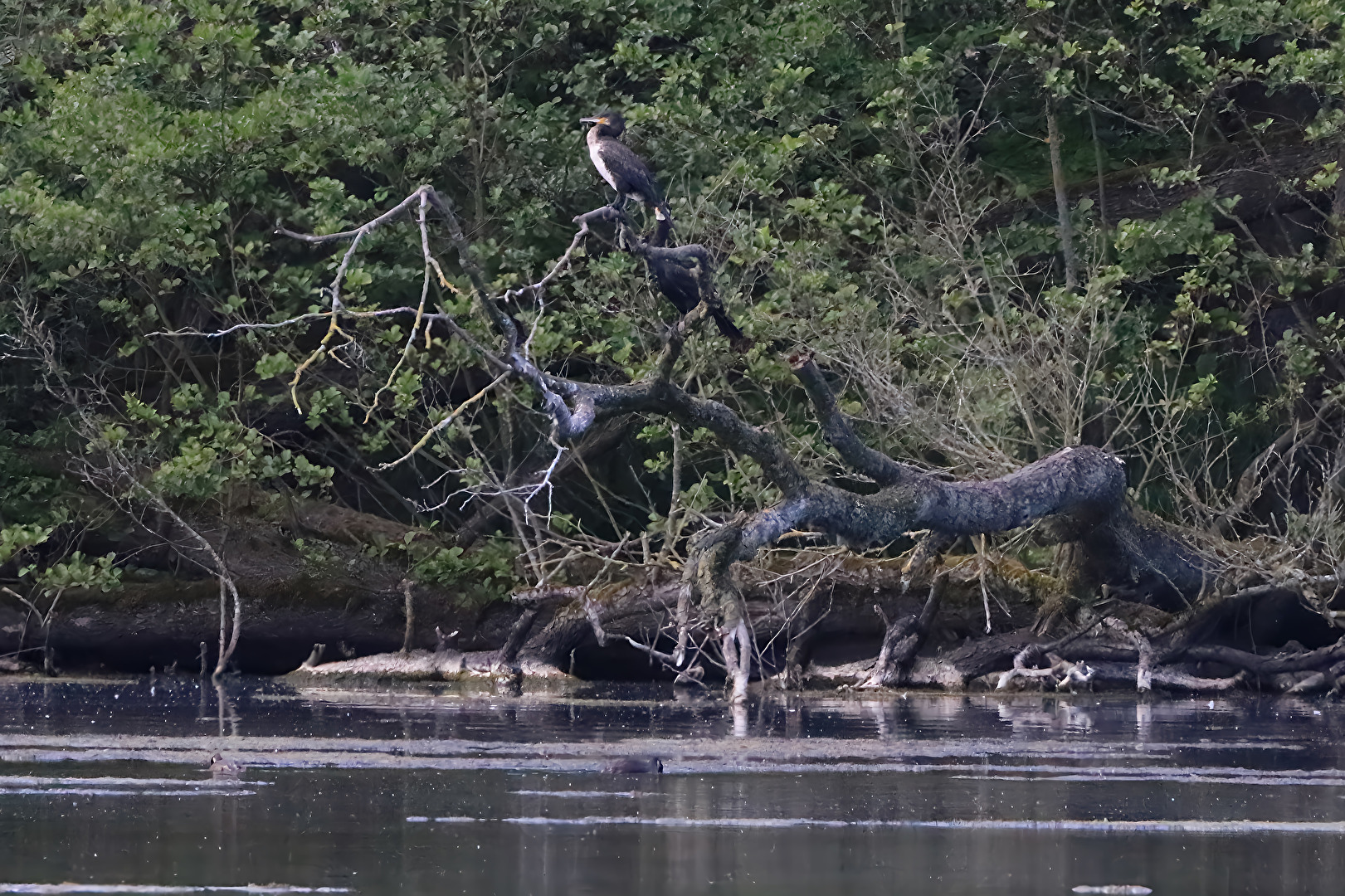 Auf der anderen Seite des See´s