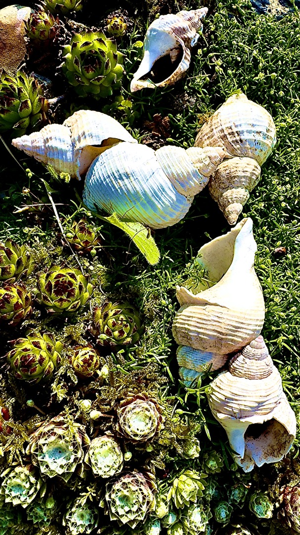 Idyllisch gelegene Häuser zu vermieten