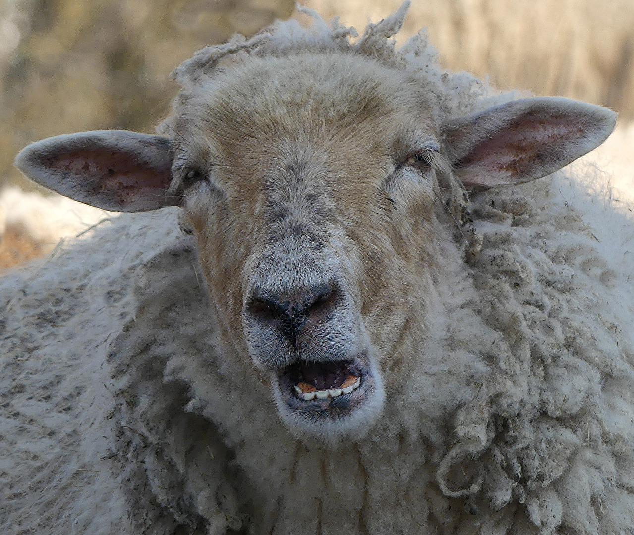 ... eins aber ist ziemlich sicher ...