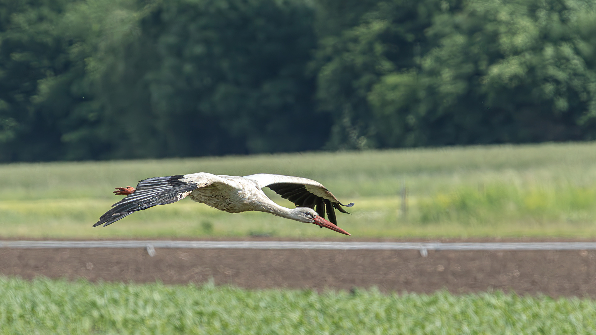 Landebahn 04, alles roger . . .