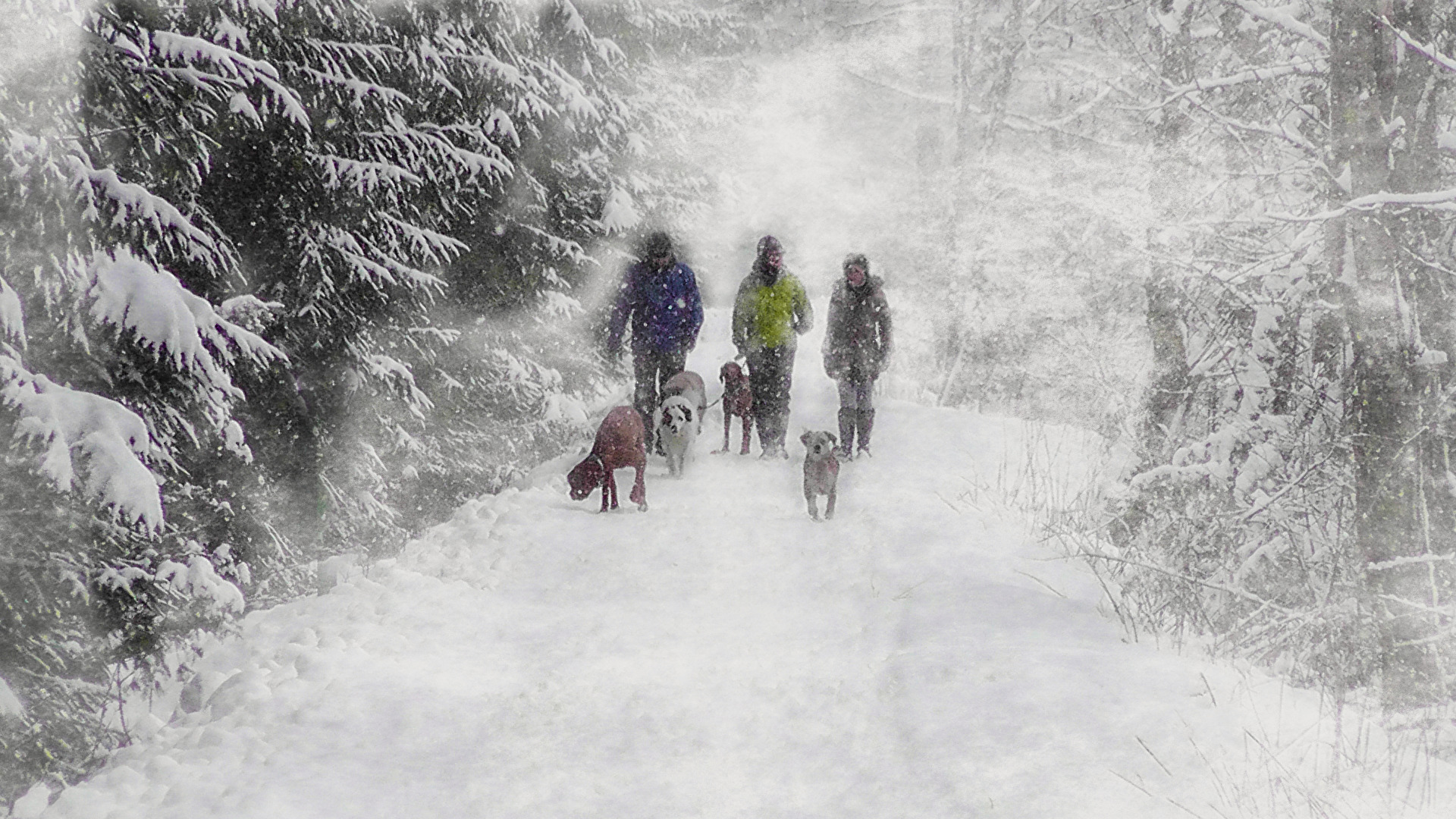 Winterspaziergang