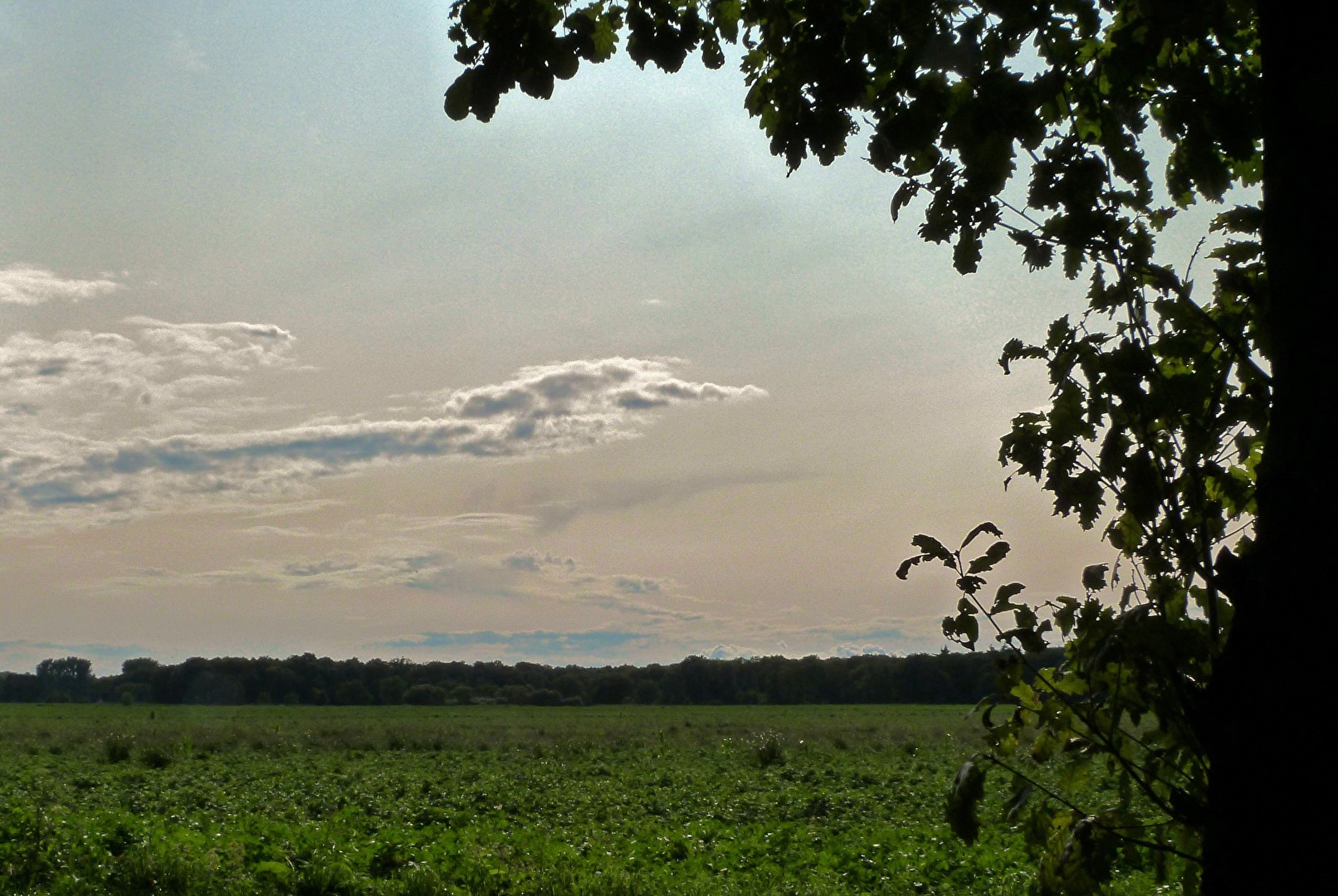 Wolken über der niederrheinischen Landschaft
