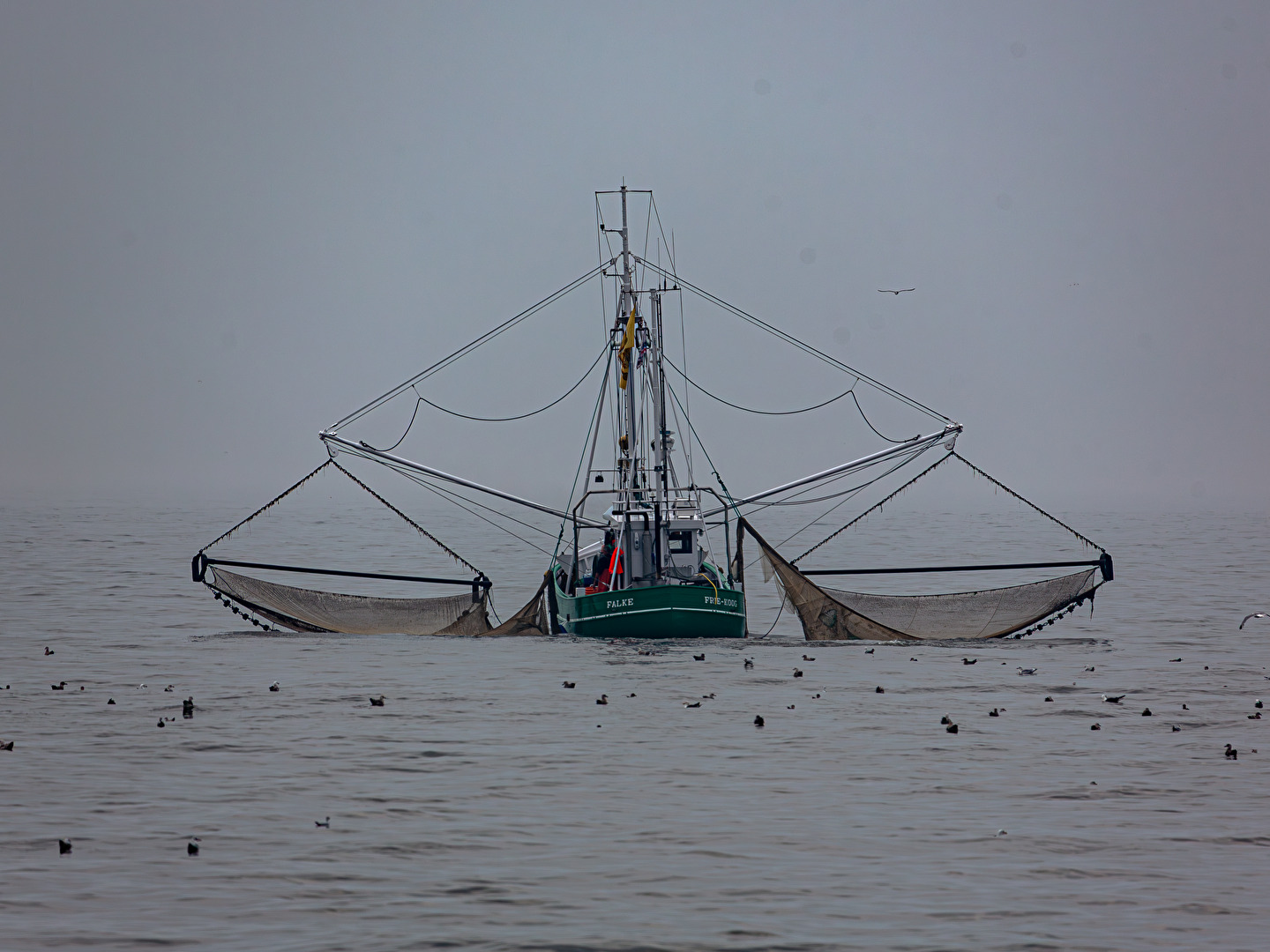 Krabbenkutter bei Cuxhaven . . . .