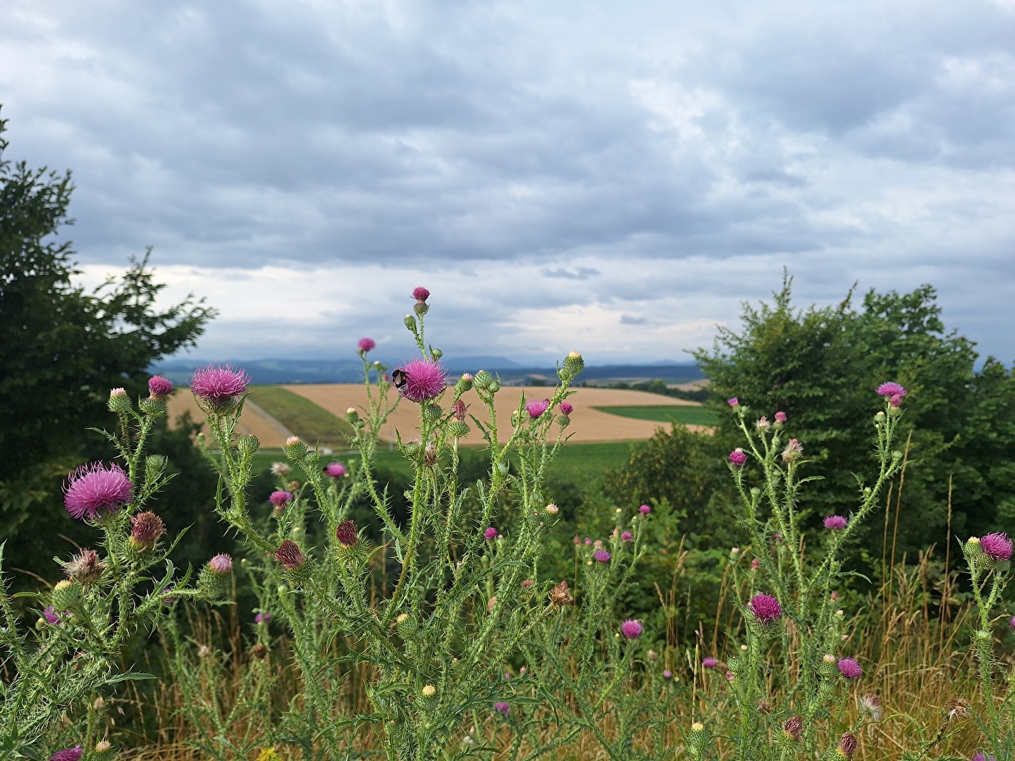 #Wolkenspiel