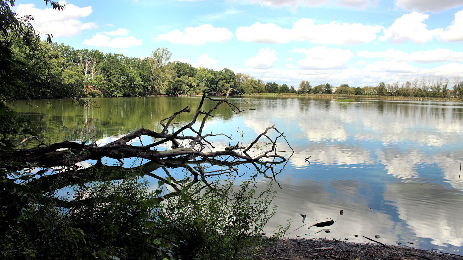 Bach, Fluss & See (allgemein)