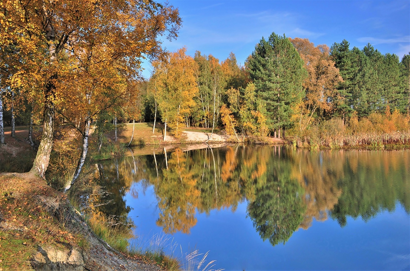 " Farbe und Spiegel "