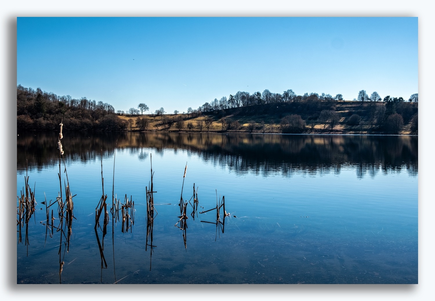 Am Weinfelder Maar